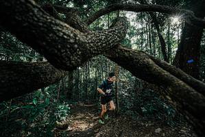 BIB: 
                            <button type="button" onclick="openModal(25663354)" class="btn btn-primary btn-sm float-right btn-popup" data-toggle="modal" data-target=".modal-high-quality">
                        <i class="fas fa-shopping-cart"></i> Add to Cart
                    </button>
                                            <button type="button" onclick="isThisMe(25663354, true)" class="btn btn-success btn-sm float-right btn-popup btn-isme hidden" data-toggle="tooltip" data-placement="bottom" title="นี่คือรูปของคุณใช่ไหม คลิกที่นี่เพื่อเอาเข้าอัลบั้ม">
                        <i class="fas fa-plus"></i> Add to album
                    </button>
                    <button type="button" onclick="isThisMe(25663354, false)" class="btn btn-warning btn-sm float-right btn-popup btn-isnotme hidden">
                        <i class="fas fa-ban"></i> Remove from album
                    </button>